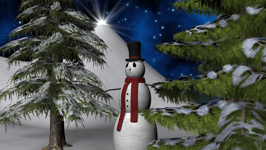 Christmas Night Star with a Snowman and fir trees
